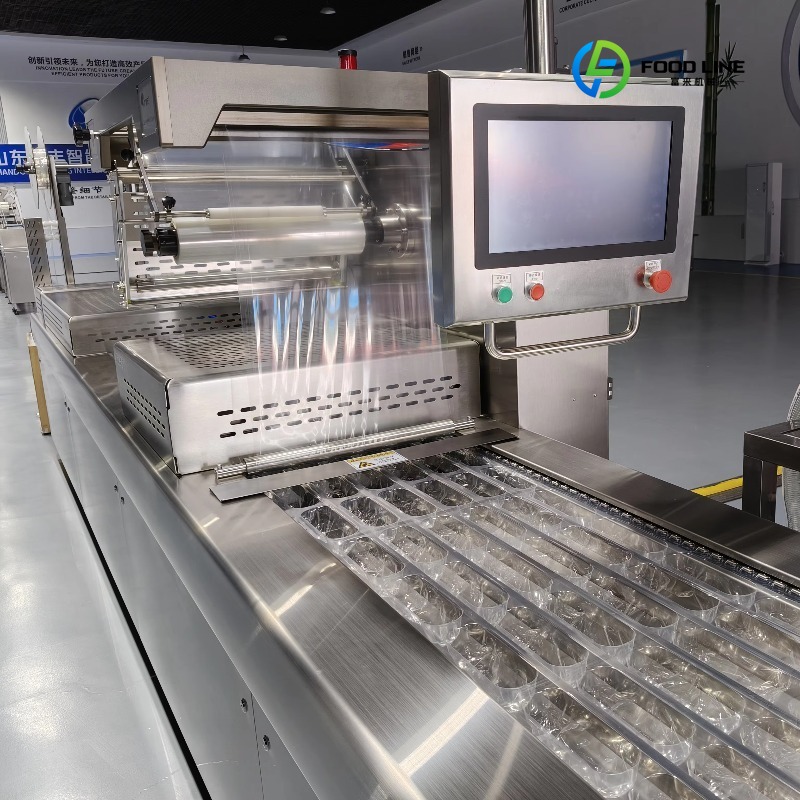 Jerky Beef Pack - Industriële kleine thermoform-vacuümverpakkingsmachine voor gepersonaliseerde snacks,