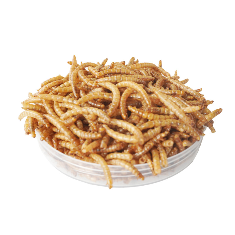 Eiwitrijke snacks voor hamster - Food Snacks With Protein recensie en prijs
