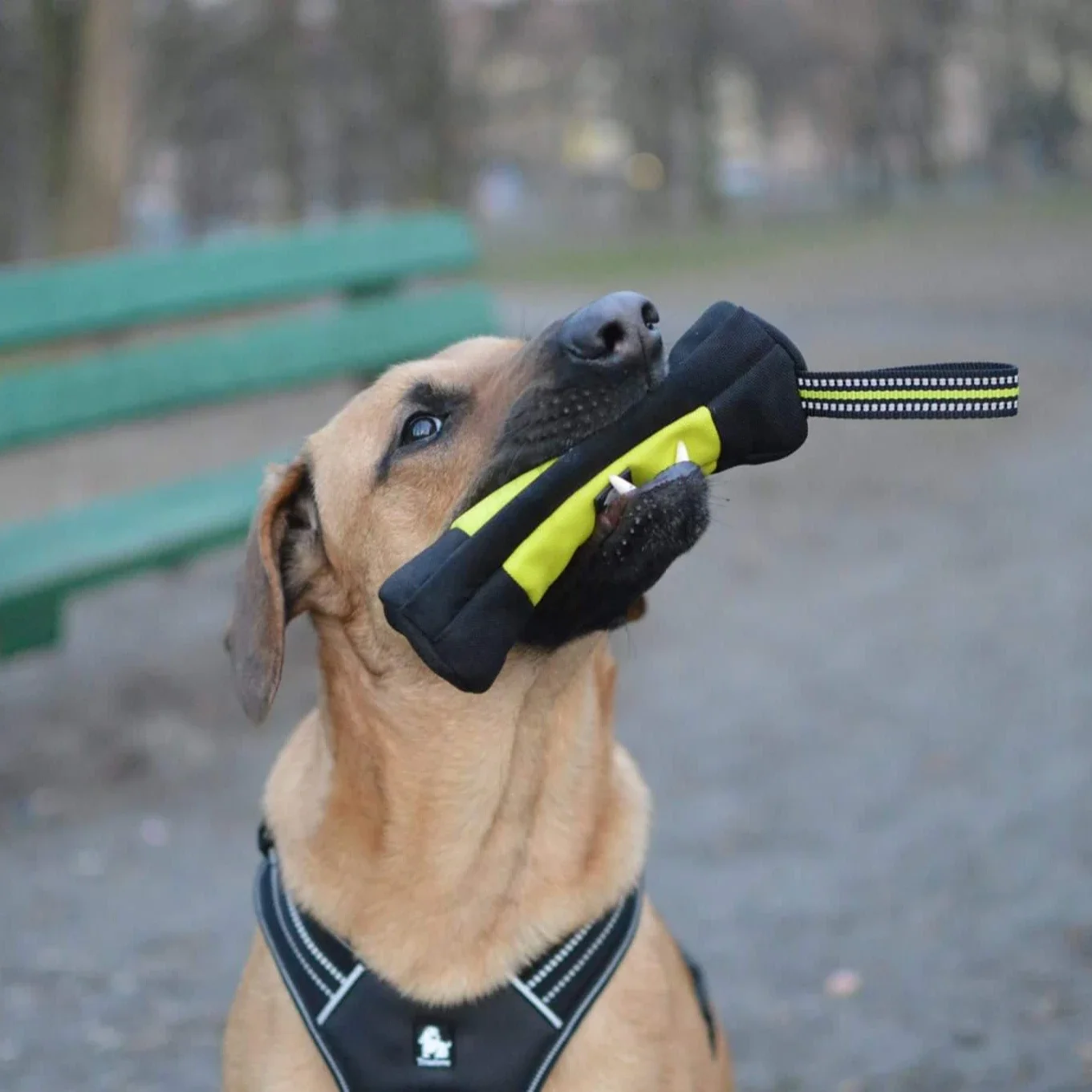 Truelove Hondentraining Retrie - Food Snacks Wholesale recensie en prijs